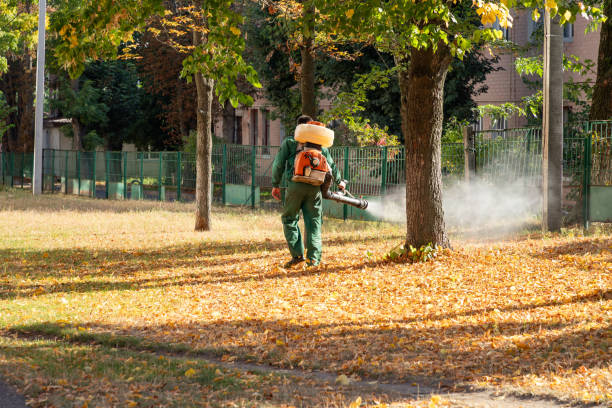 Best Exterminator Services  in Woodbury, NY