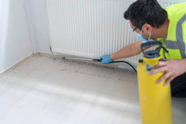 Best Pest Removal Services  in Woodbury, NY
